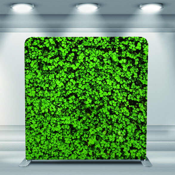 Green Grass N-11